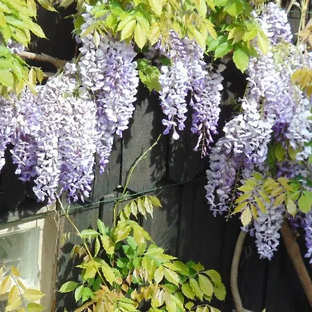 شقة Le Du Moulin *