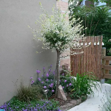 Le Du Moulin * Colmar