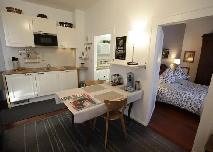 公寓 Le Du Moulin *