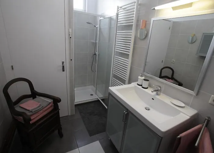 Le Du Moulin 公寓 科尔马