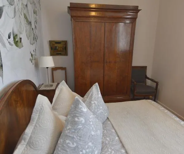 Le Du Moulin 公寓 科尔马