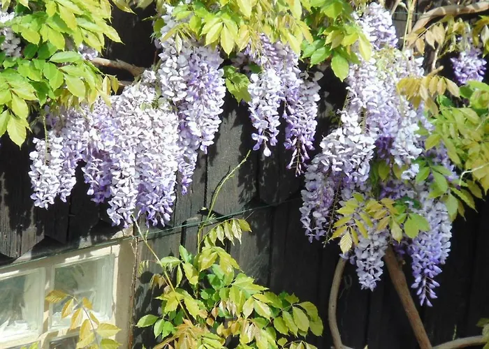 公寓 Le Du Moulin *