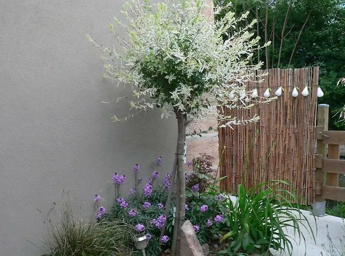 Le Du Moulin * 科尔马